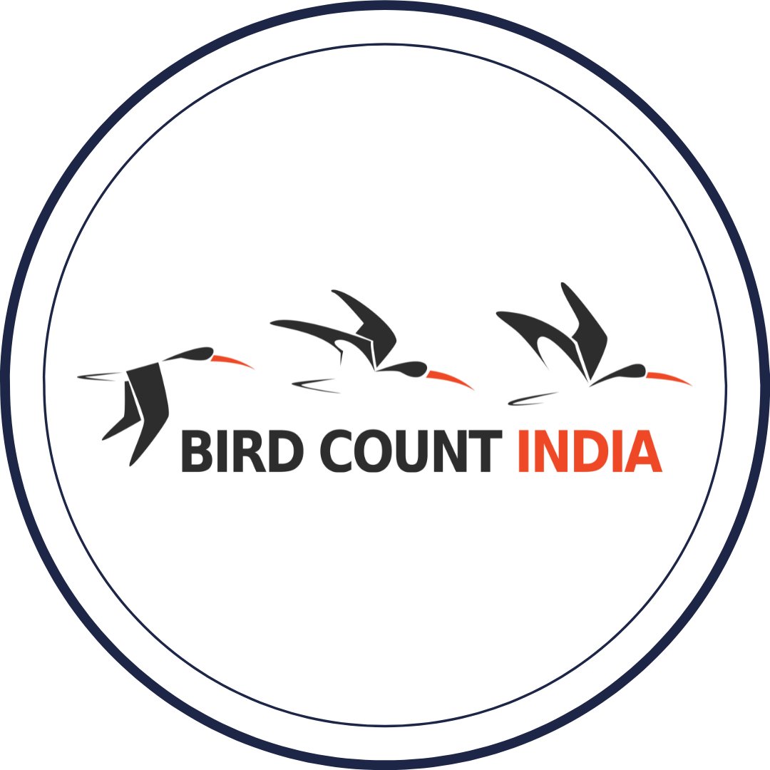 Bird Count India Featured Photographer